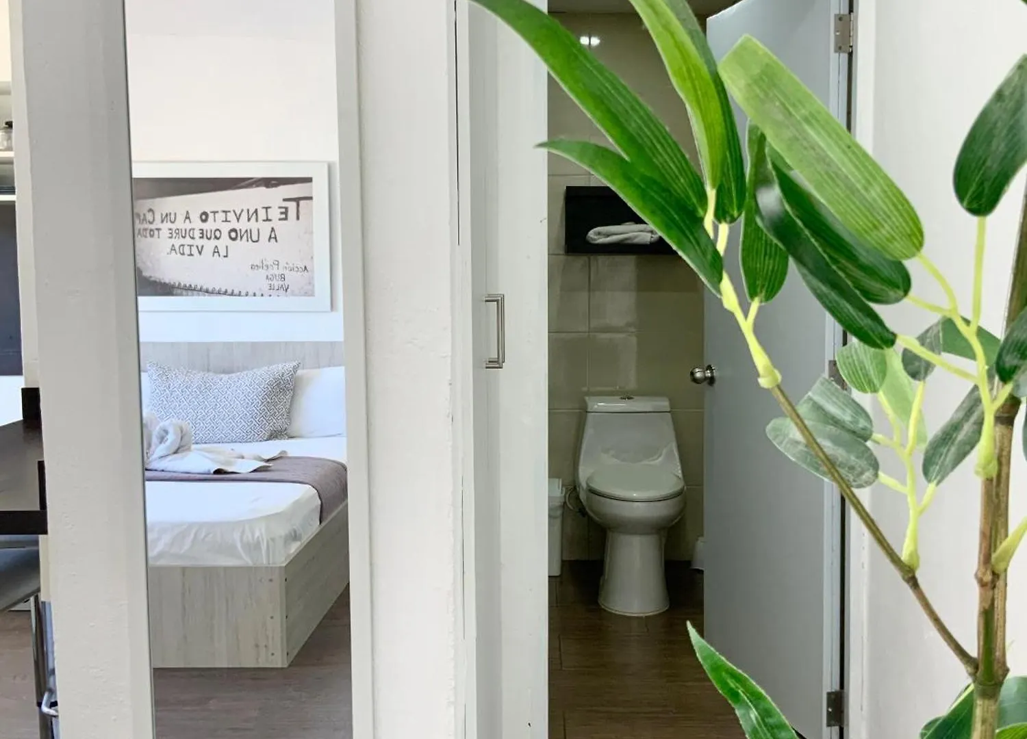 Moka House Aparthotel Santo Domingo